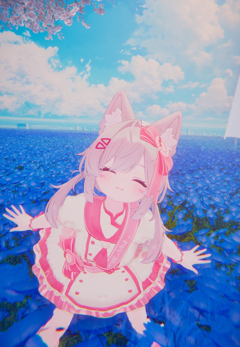 さかなん tweet media