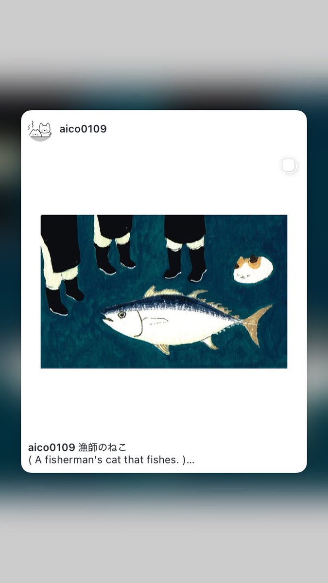 にゃんことみーこ®︎ tweet media