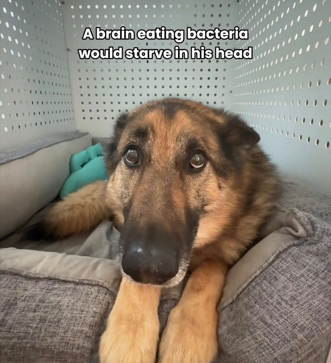 no context memes tweet media