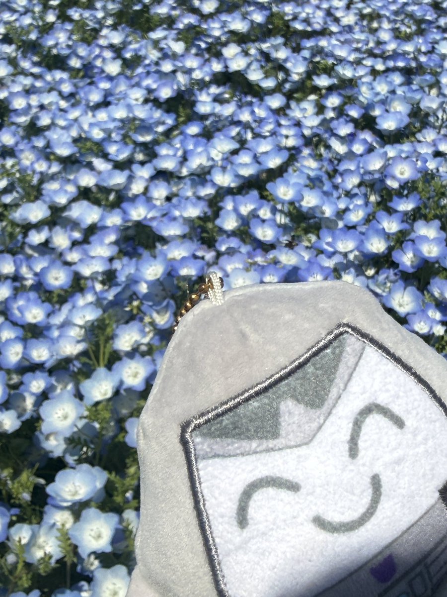 YUKI@moo tweet media