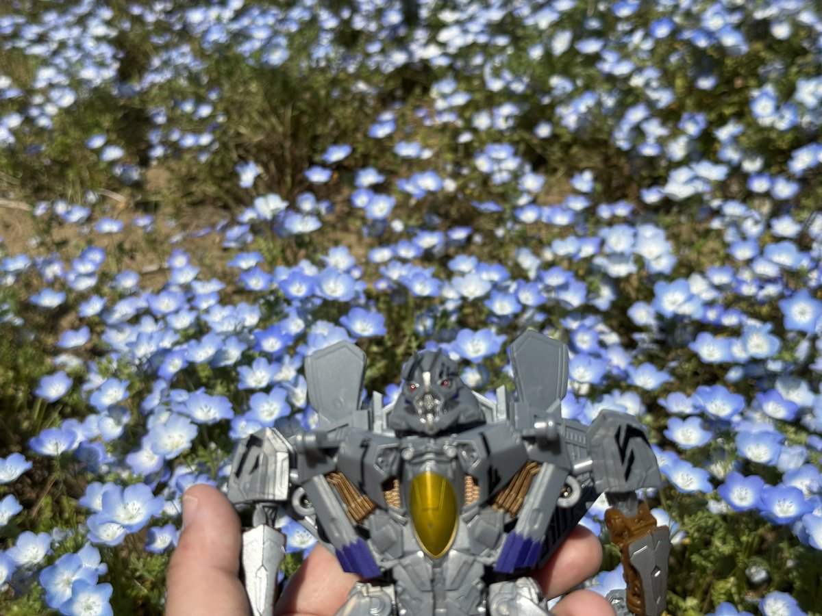 YUKI@moo tweet media