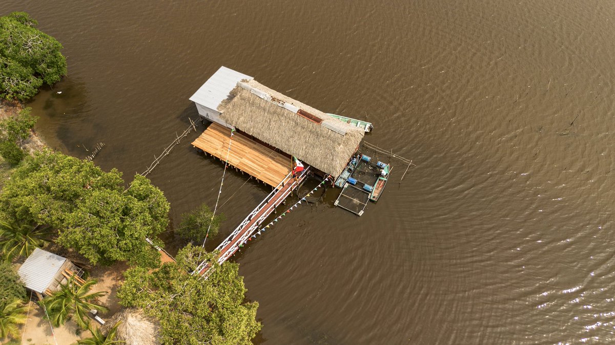 Ovidio Peralta Suárez tweet media