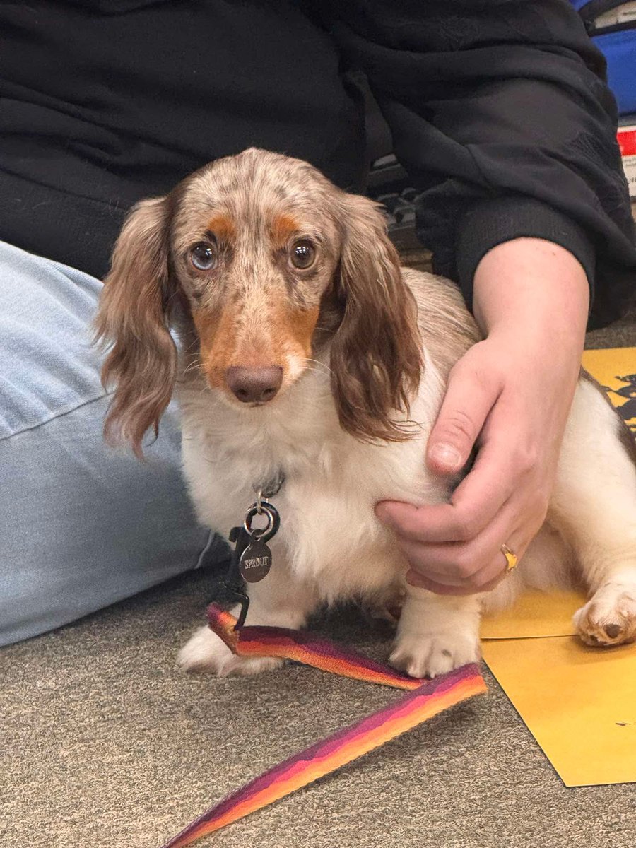 We just listened to The Great Divide in entirety and I think sprout’s face speaks for both of us <a href="/NoahKahan/">Noah Kahan</a> 👏🏼💐🥲