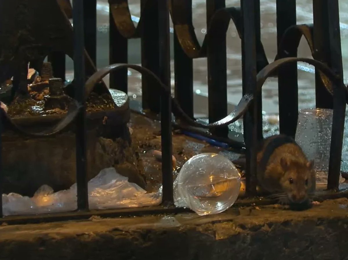 LaHistoria tweet media