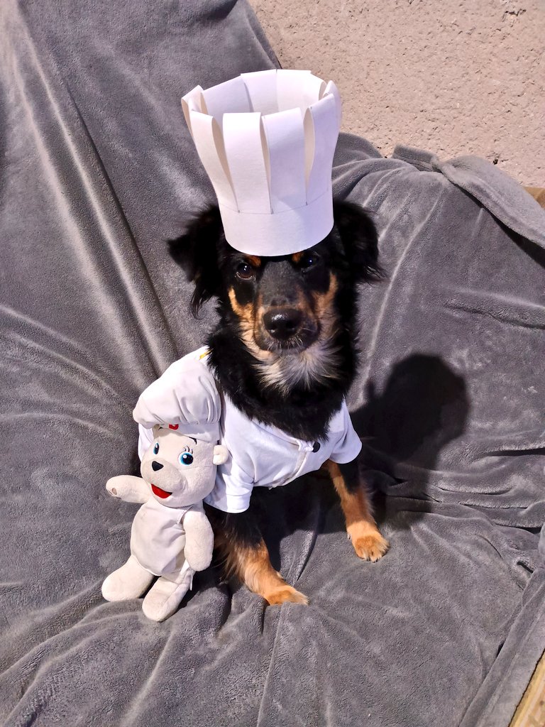 Kiwi A. S. tweet media