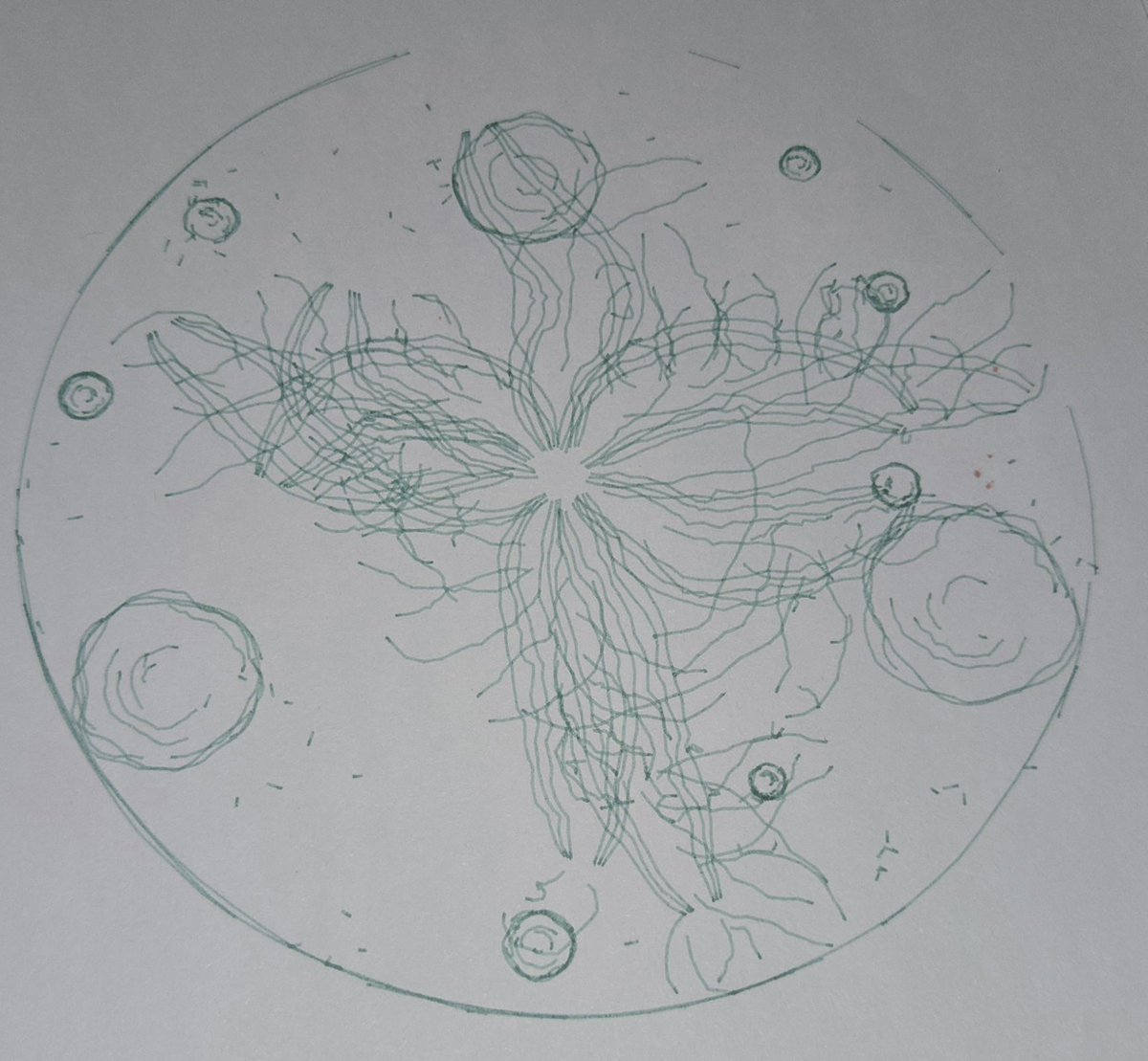 mermachine's tweet photo. what kind of moon is opus 4 drawing... https://t.co/QrrxMpb3AS