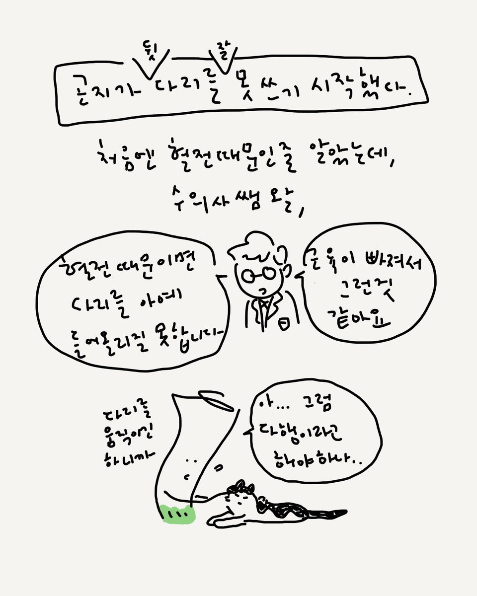 허안나 tweet media