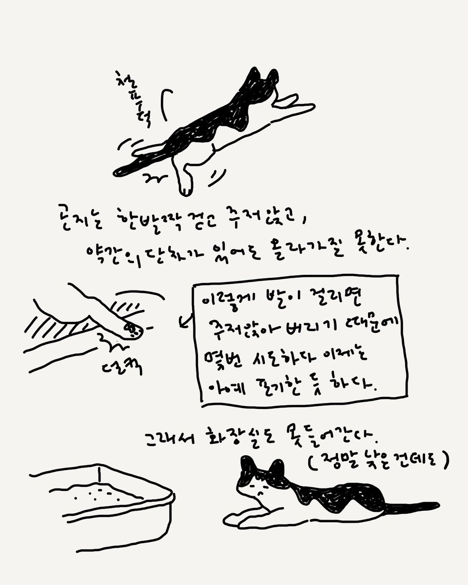 허안나 tweet media