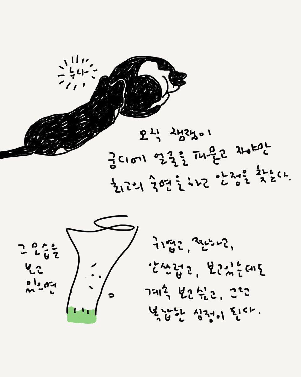 허안나 tweet media