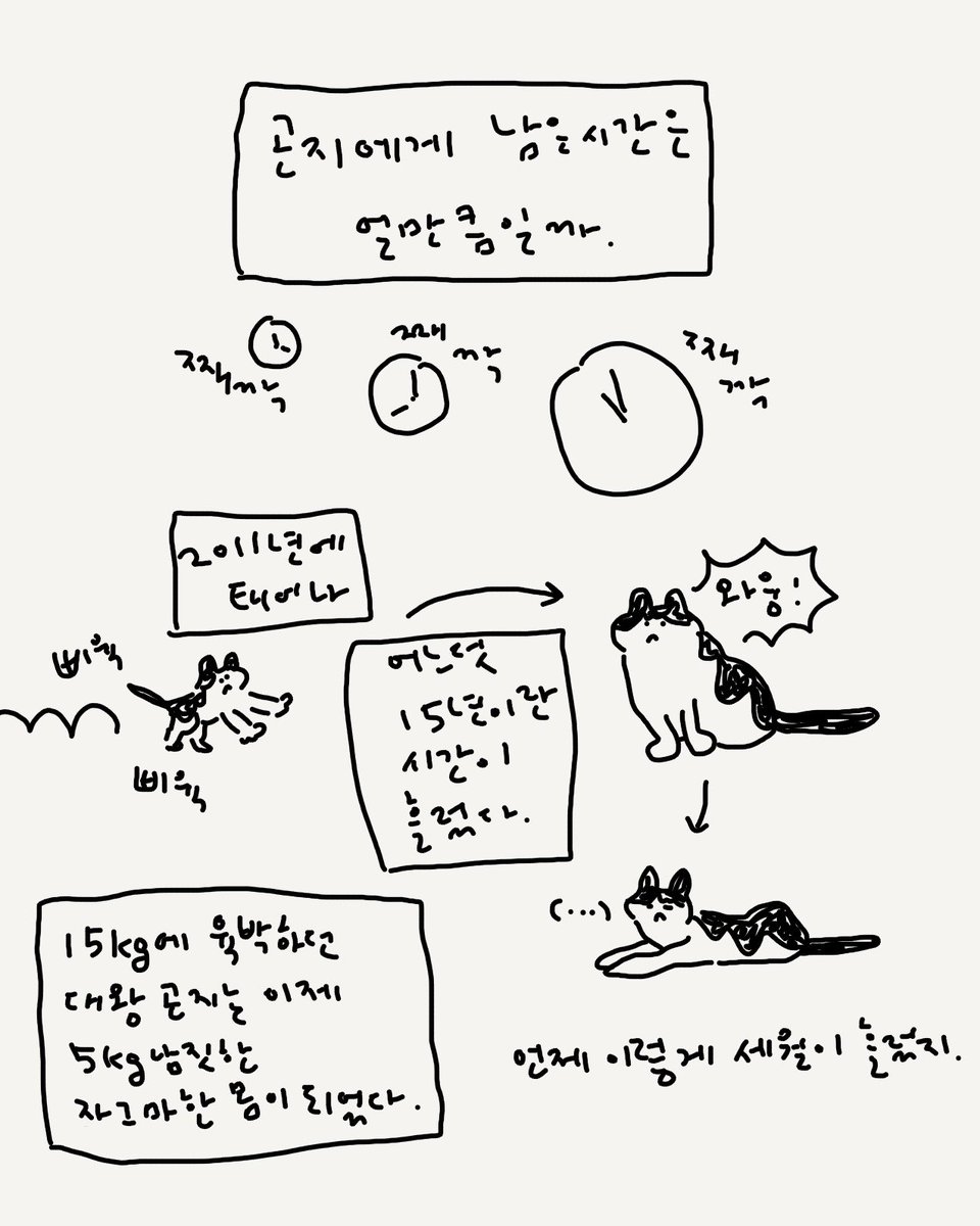 허안나 tweet media