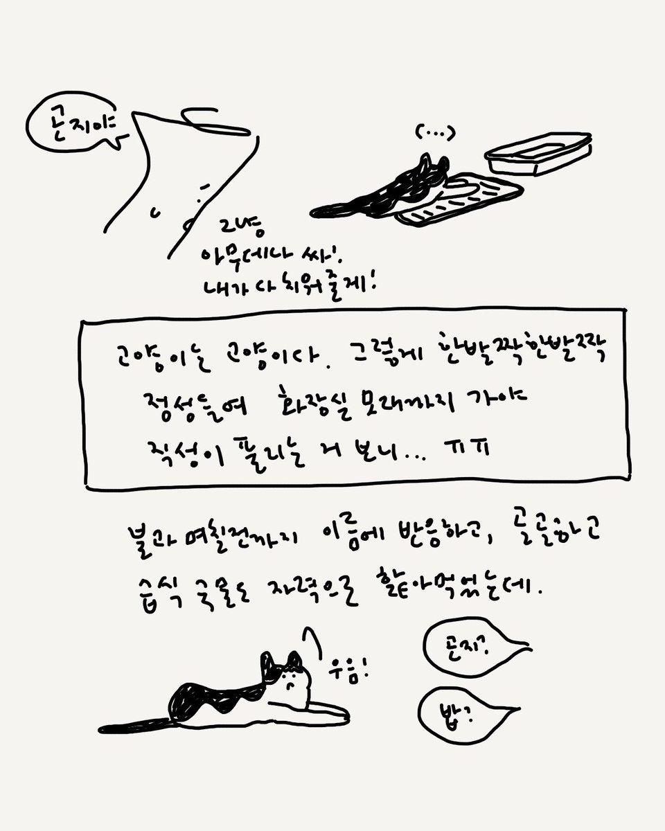 허안나 tweet media