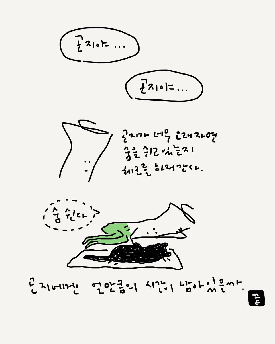 허안나 tweet media