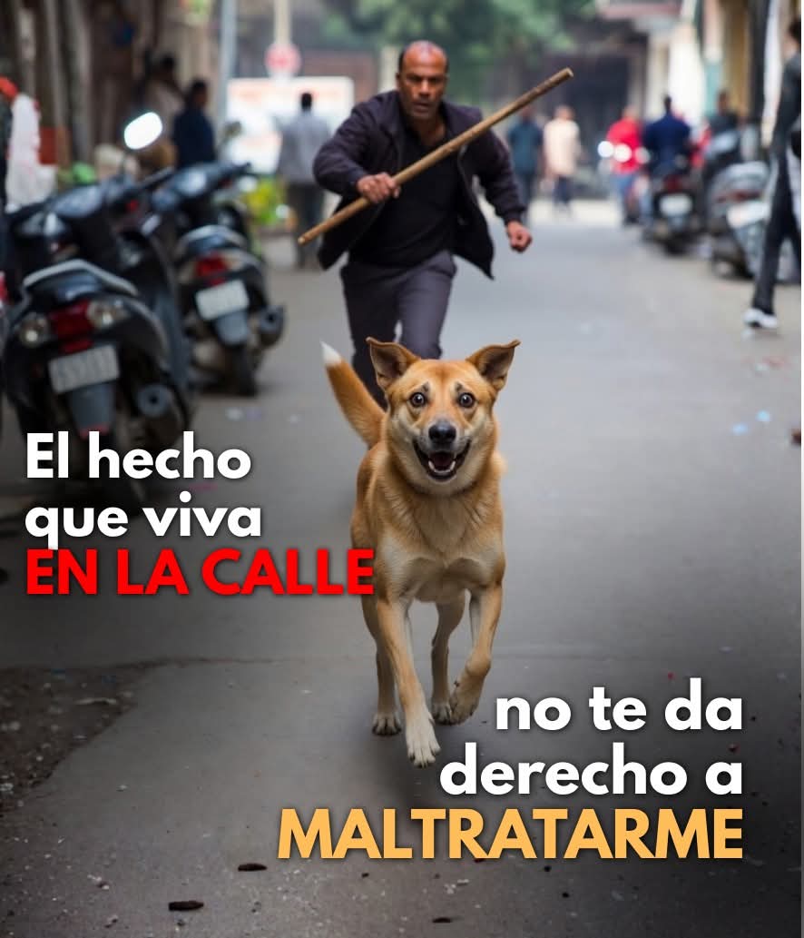 "No soy un objeto, no soy basura. Siento hambre, el miedo y el dolor al igual que tú. El hecho de que viva EN LA CALLE no te da derecho a MALTRATARME. Mi hogar es la calle, pero mi vida sigue siendo sagrada. Si no vas a ayudarme, al menos respeta mi existencia, (1/2)