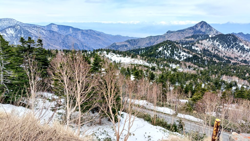 おでかけポコ tweet media