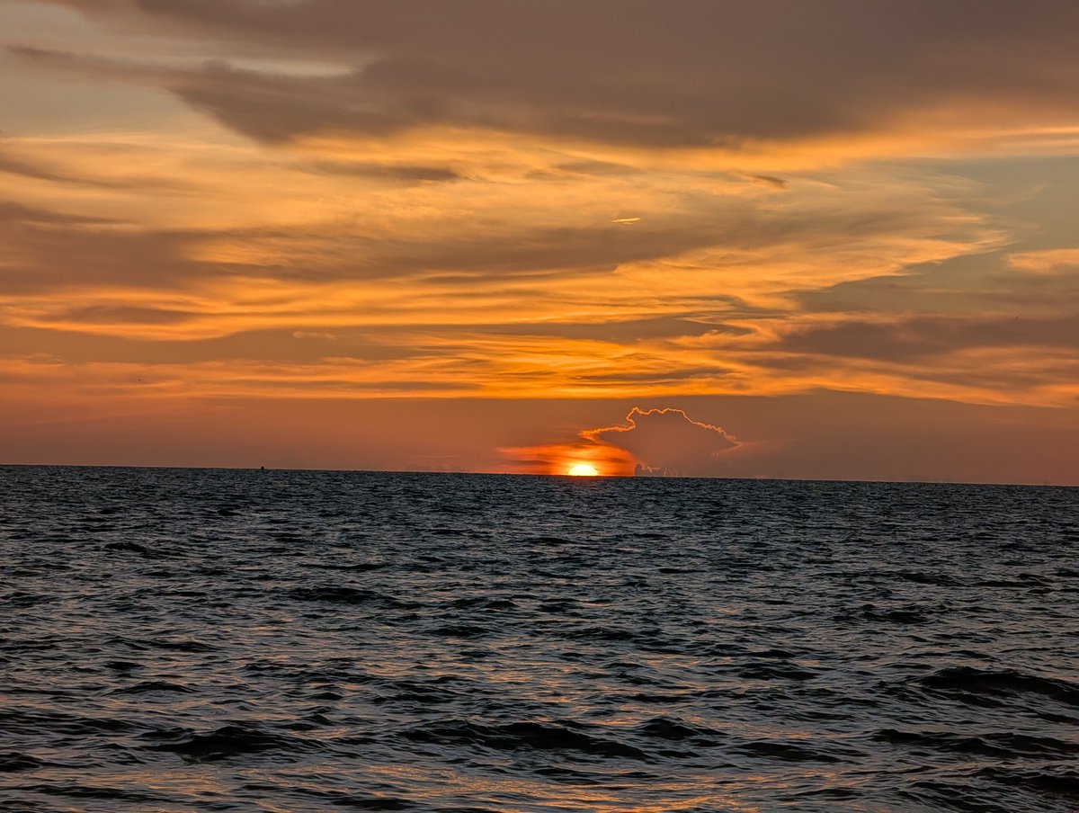 FaeCerise's tweet image. Don't think I forgot about my little nature break amongst the chaos of today 🫶

#EnVtuber #sunsets