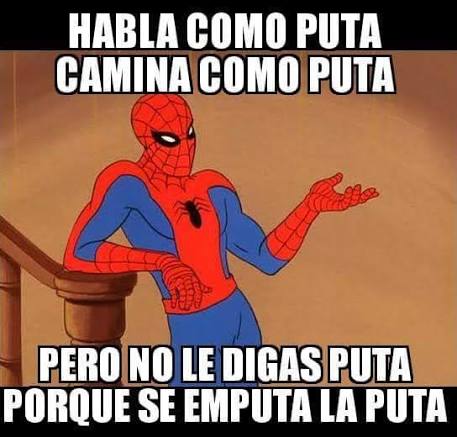 Intelectual Cero de Miller tweet media