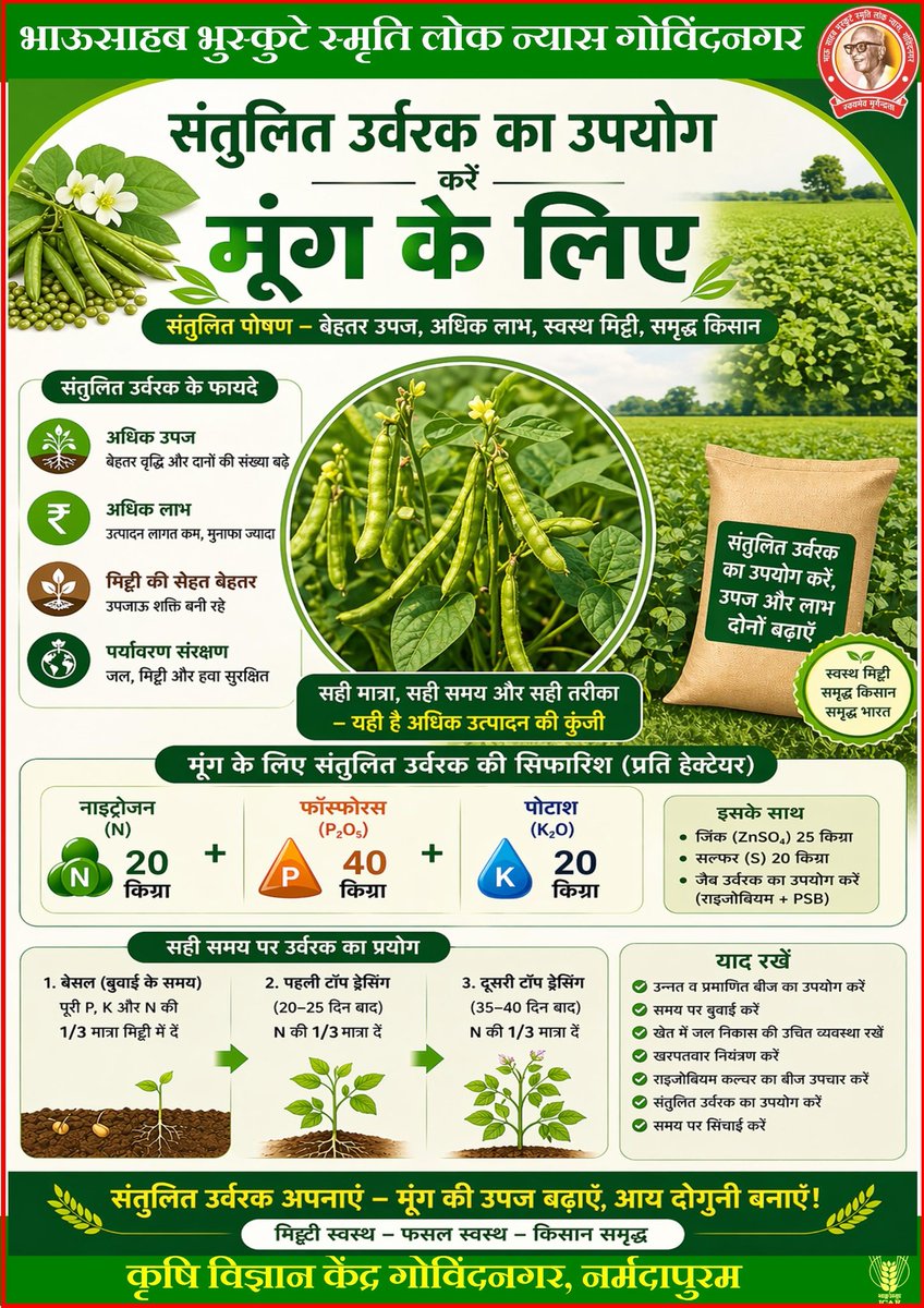 KGovindnagar's tweet photo. 🌱 मूंग की बेहतर उपज का राज!
संतुलित उर्वरक अपनाएं और पाएं अधिक उत्पादन के साथ ज्यादा मुनाफा 💰
#कृषि #मूंग_खेती #उर्वरक #किसान #खेती_किसानी
#ICAR #reducefertilizer https://t.co/uVHR864tSt