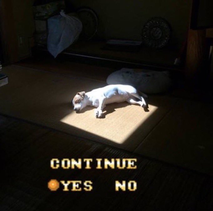 THE GOBLIN tweet media