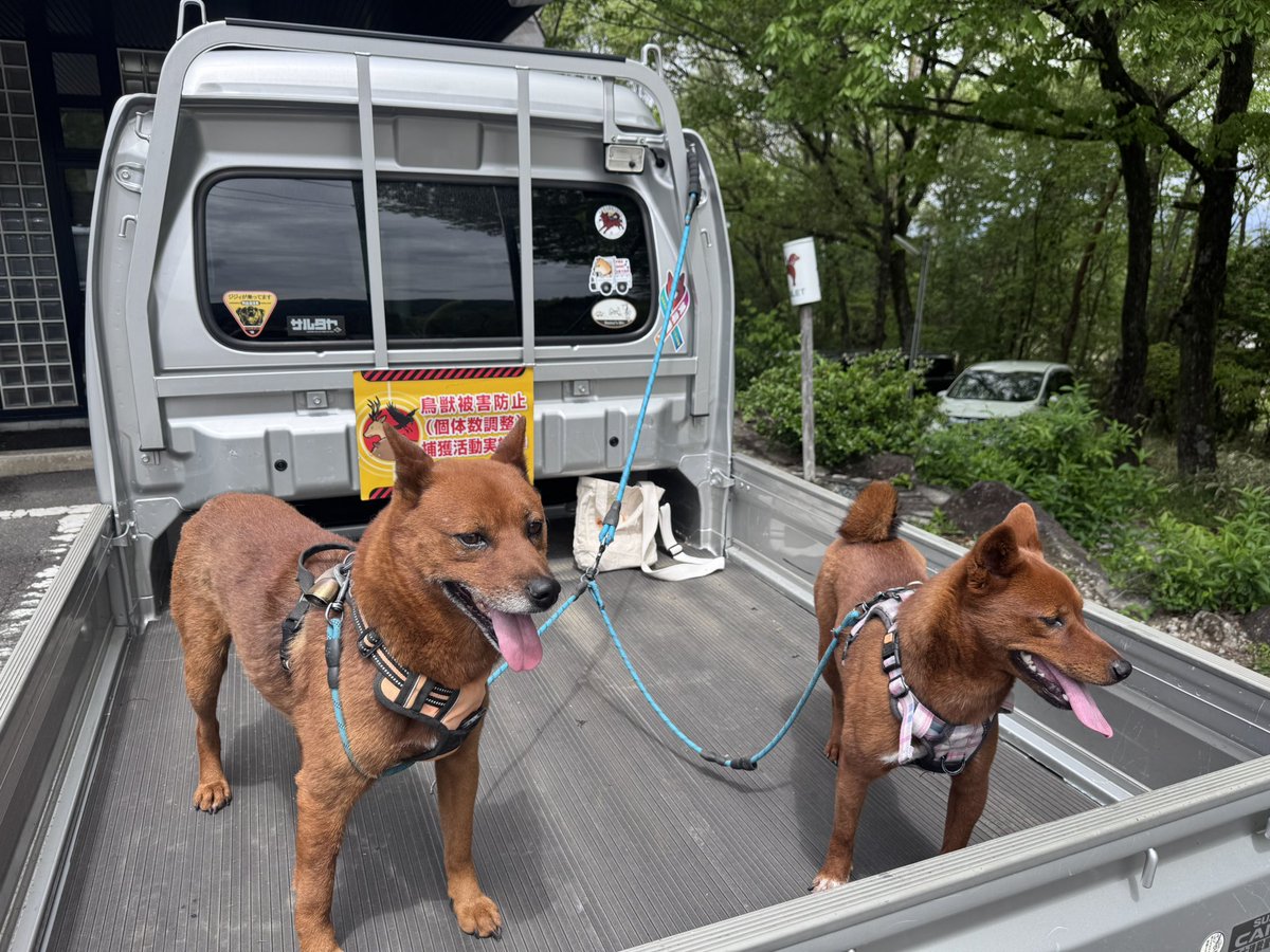 ぷん 🐕🐕🐈🐈🐈🐈‍⬛🍺🍶🍖🏍 tweet media