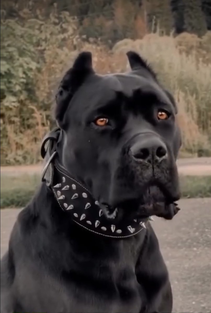 SurfsupCCbeach321 tweet media