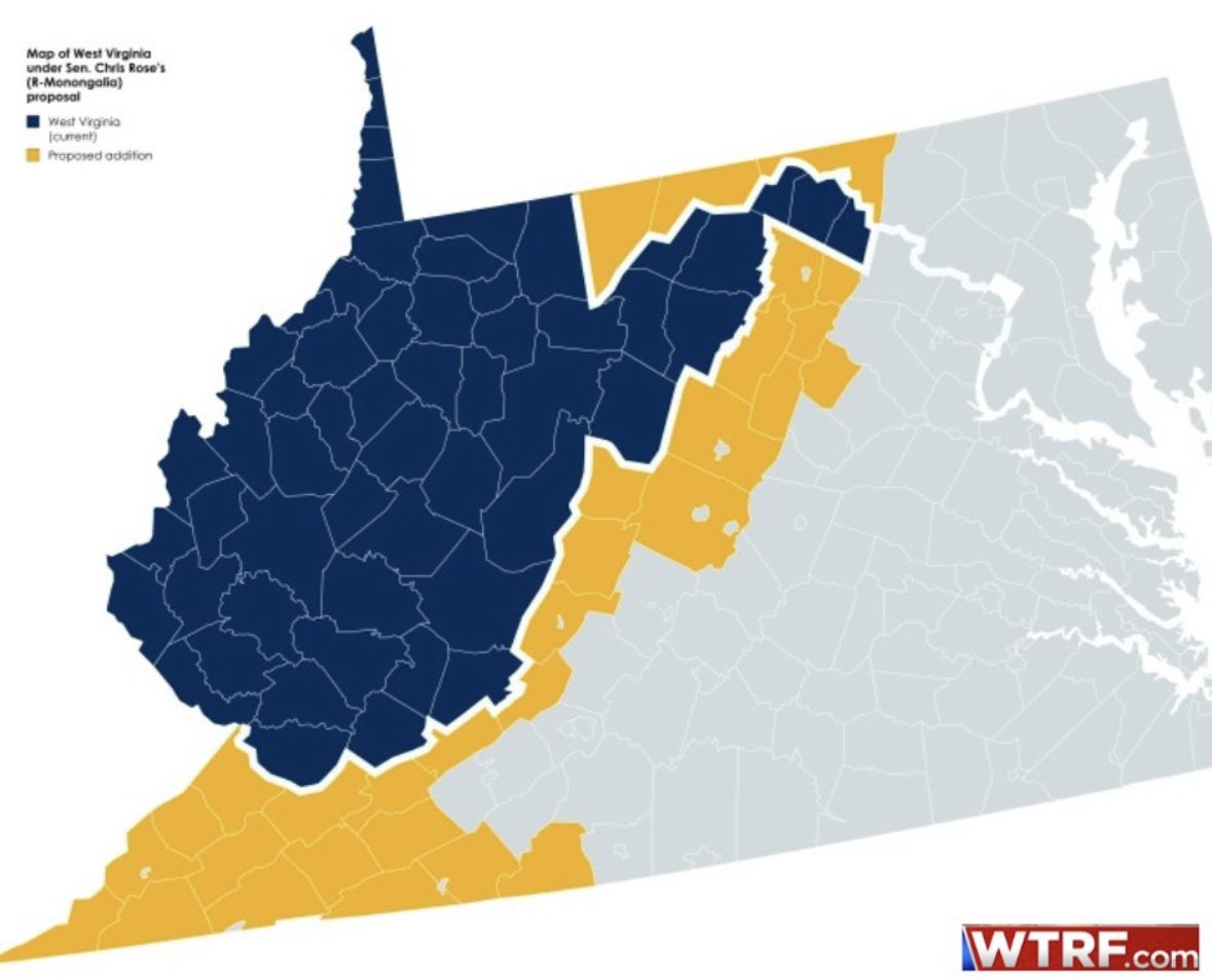 Logan Hall tweet media