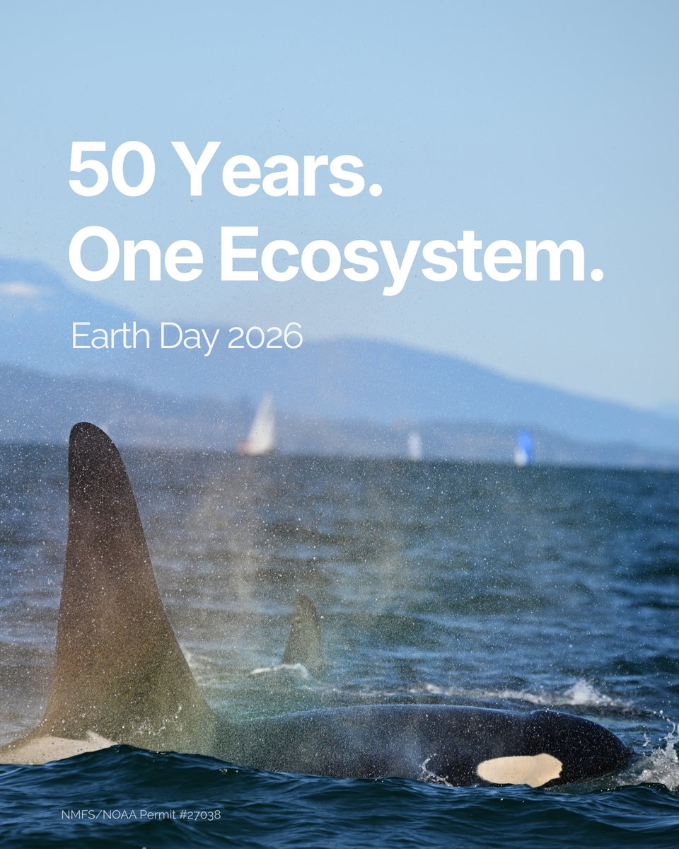 Pearl Jam tweet media