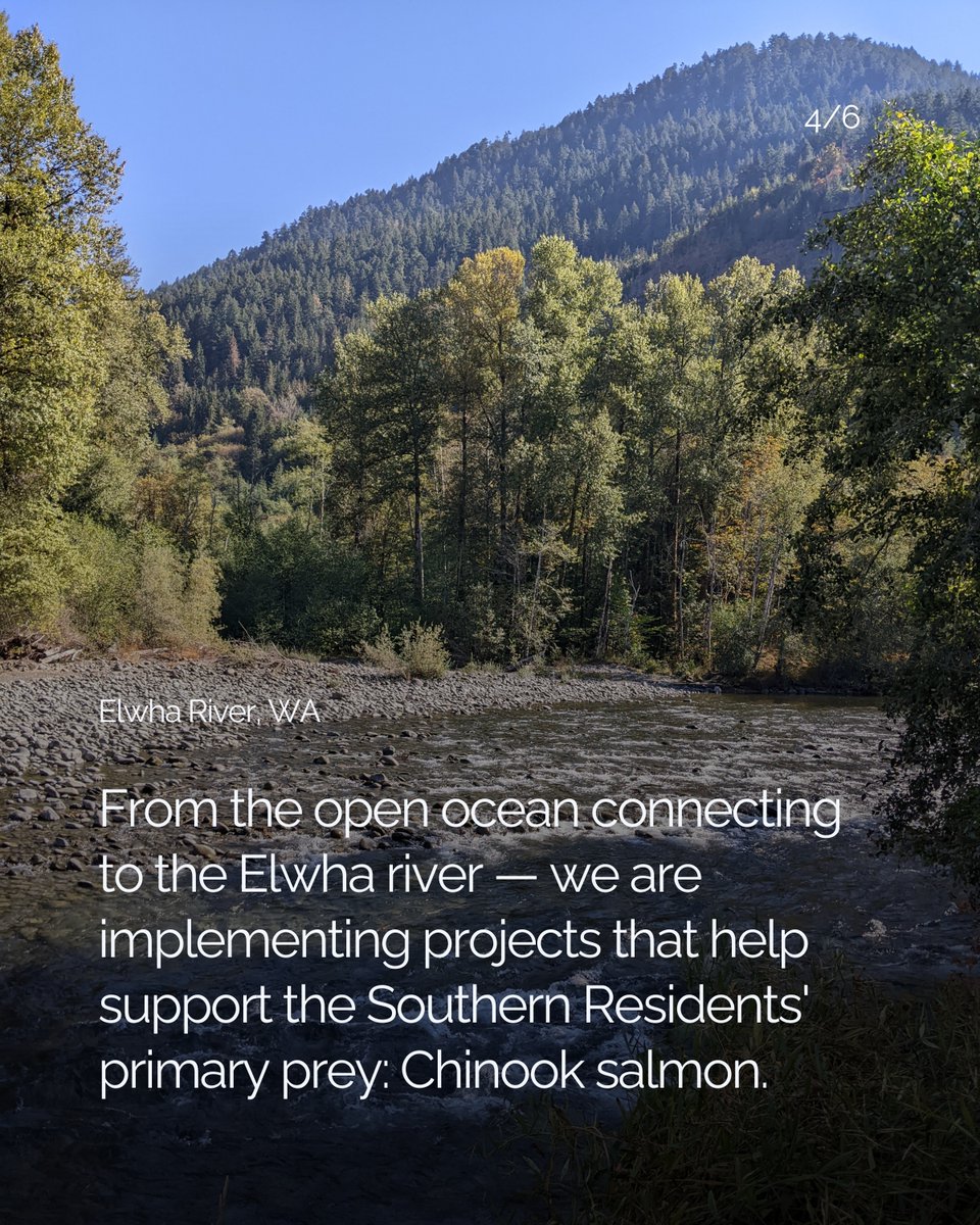 Pearl Jam tweet media