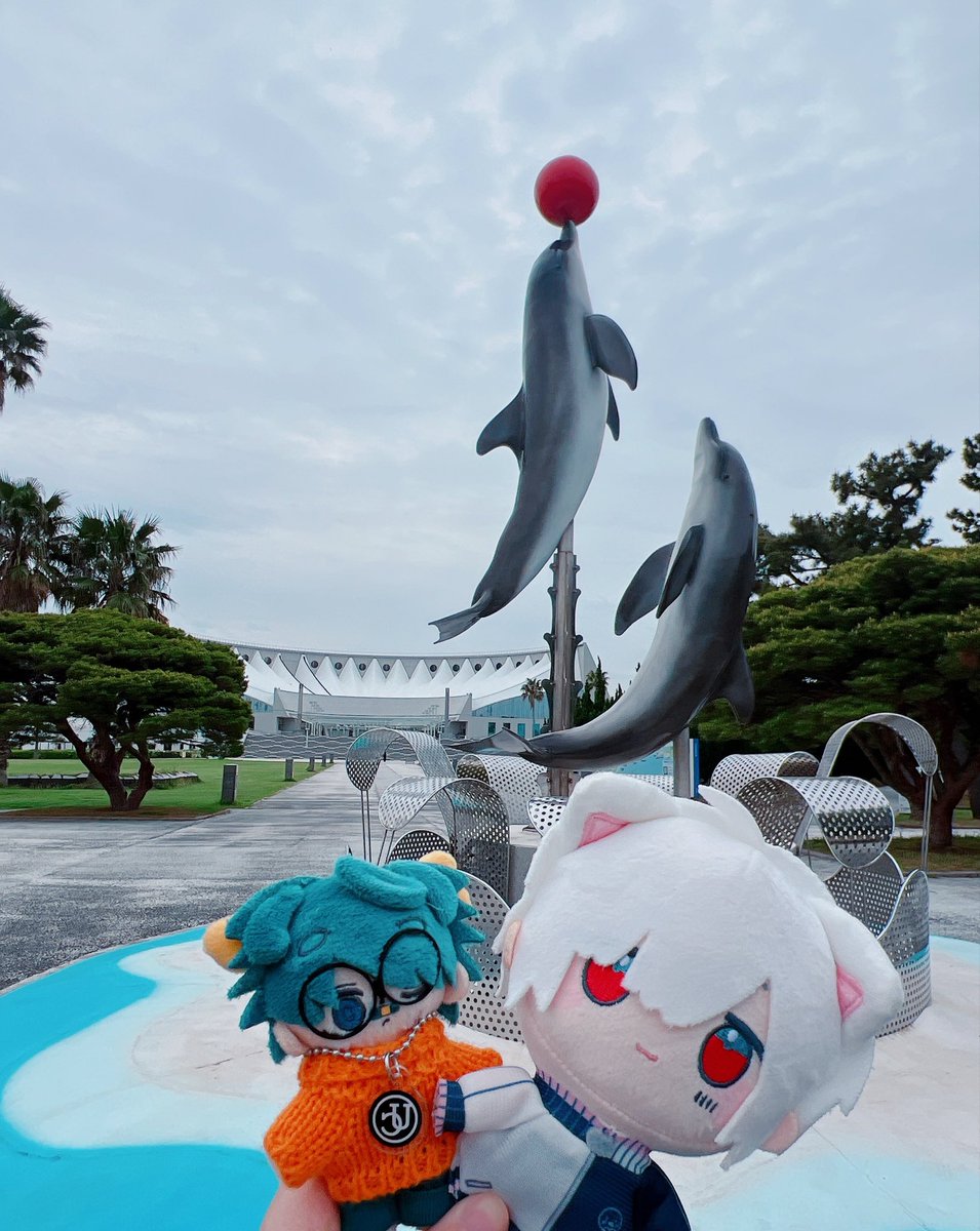 てるてるてんしʚ♡ɞ tweet media