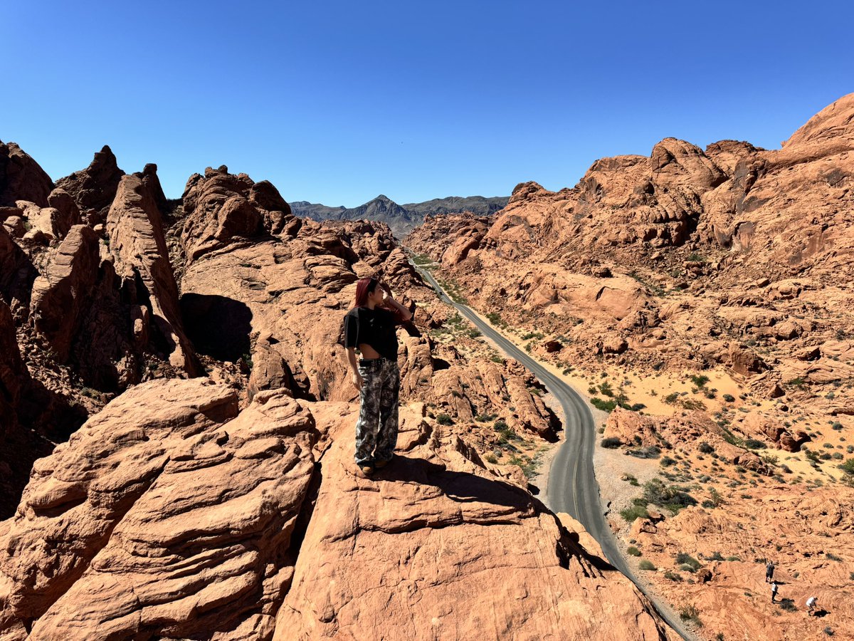 葉月/HAZUKI tweet media