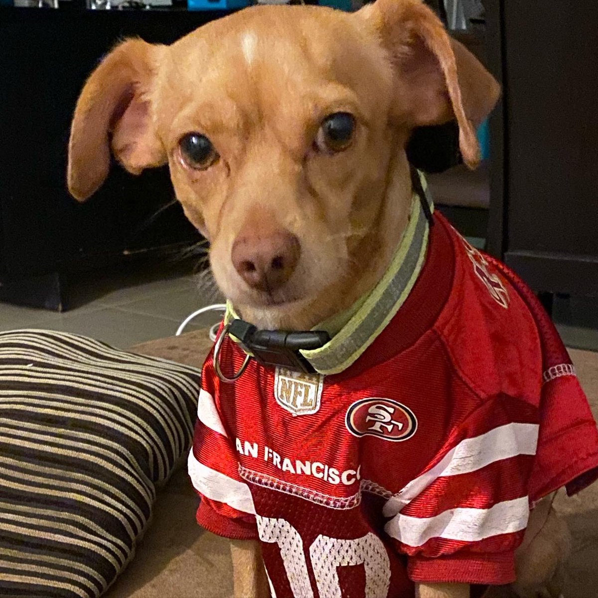 sofía ♀ tweet media