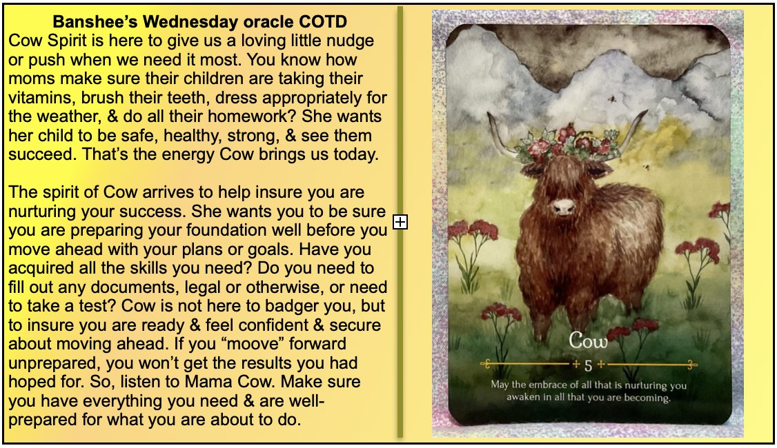tftTarot4today's tweet image. Banshee: Hey everyone, holy cow! Cow spirit is here with some gentle, motherly advice. Here’s my oracle COTD for Wednesday, April 22, 2026. #tarot #dailytarot #TarotReading