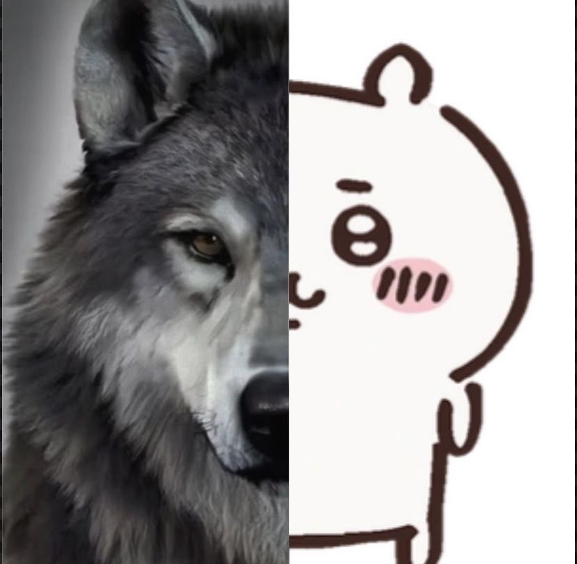 remi ♱ tweet media