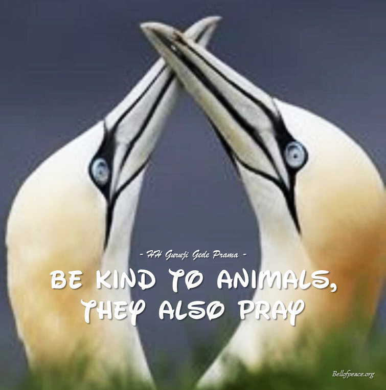 gede_prama's tweet image. Be kind to animals... #bali #love #peace #meditation #JoyTrain
bellofpeace.org
Photo courtesy: Pinterest