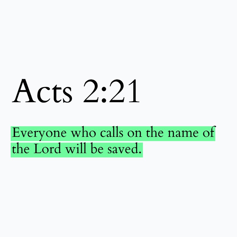Holy Bible tweet media