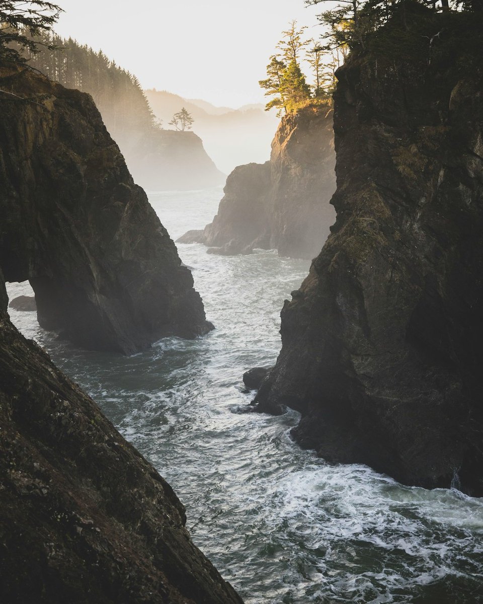 Tripluma's tweet image. Every journey begins with a single step into the unknown. Discover your next adventure at tripluma.com! #Travel #Adventure #Wanderlust #Explore