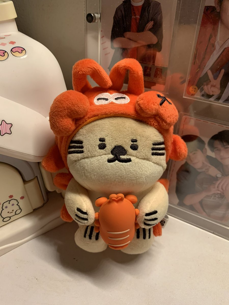 finding sushi กุ้ง🍣 tweet media