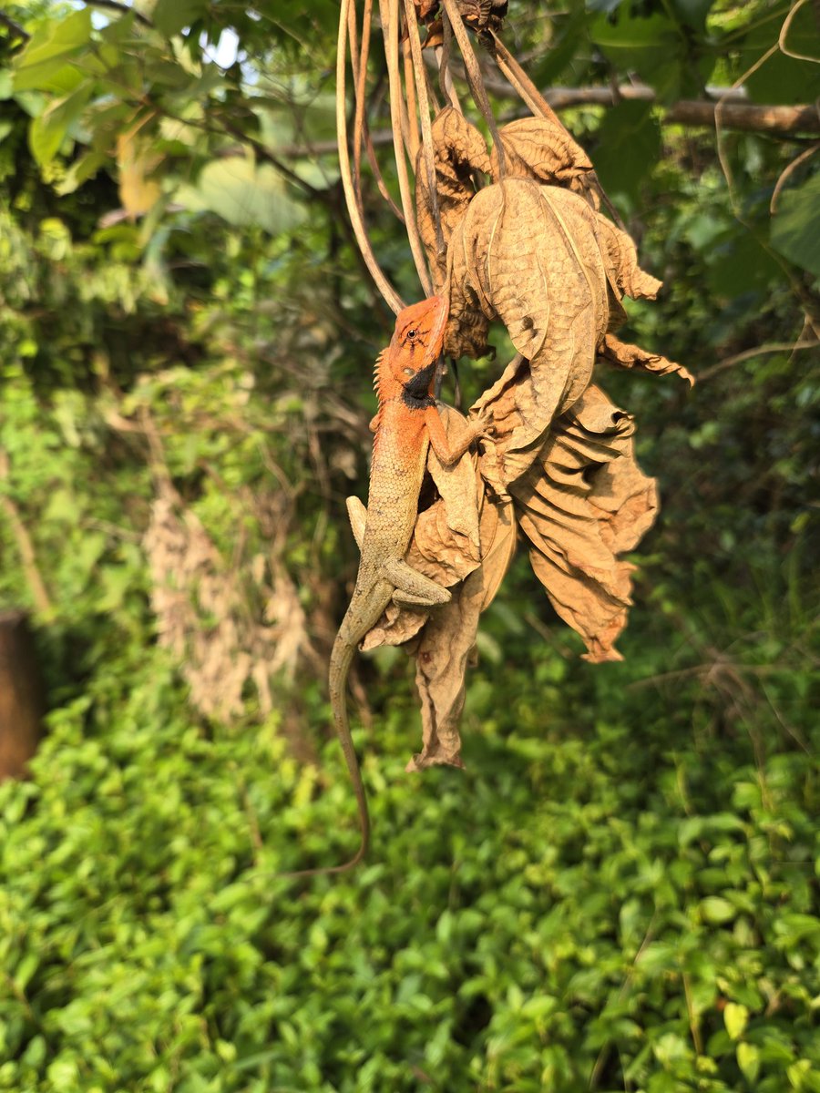 Peter Lidsky tweet media