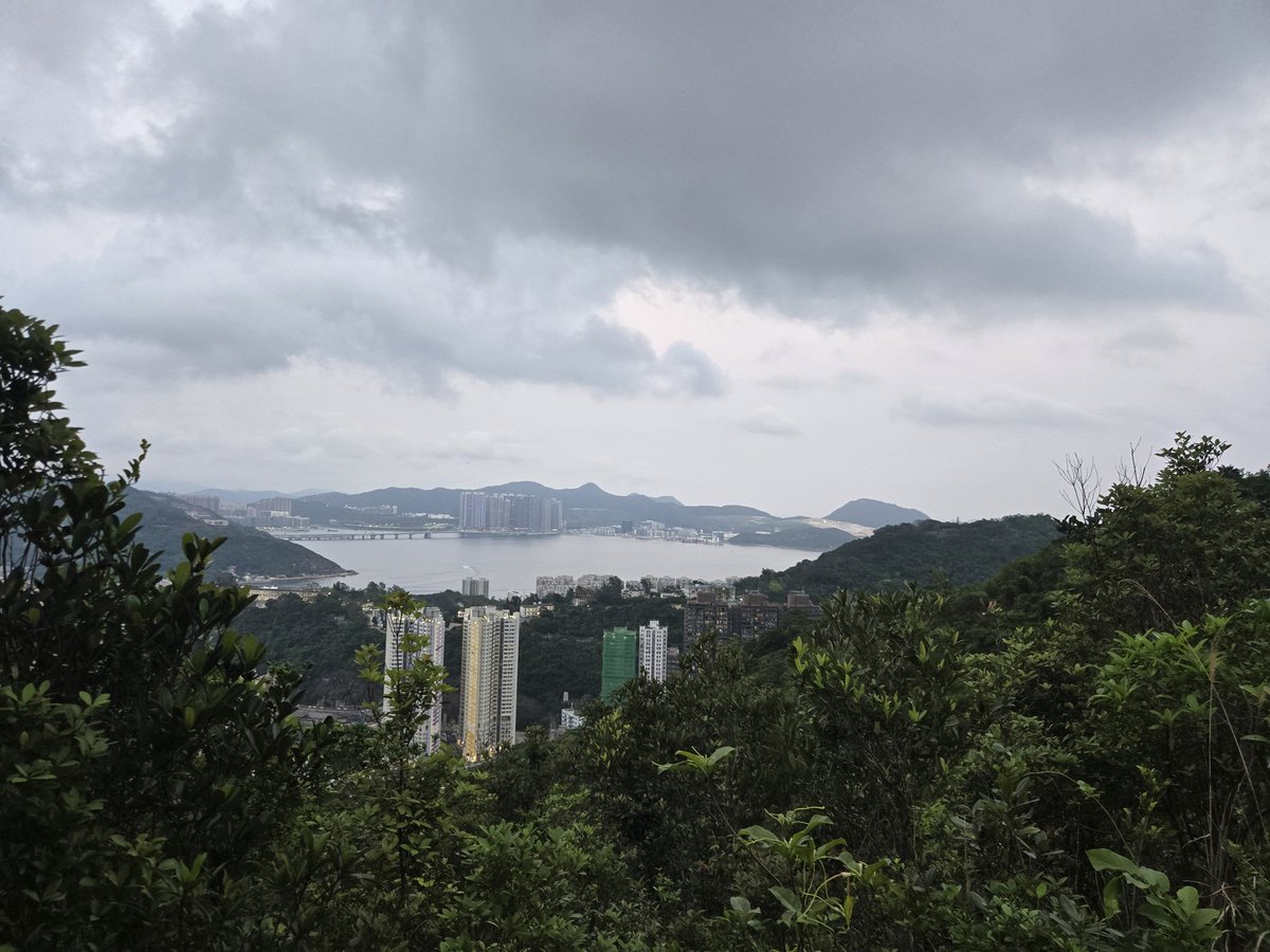 Peter Lidsky tweet media