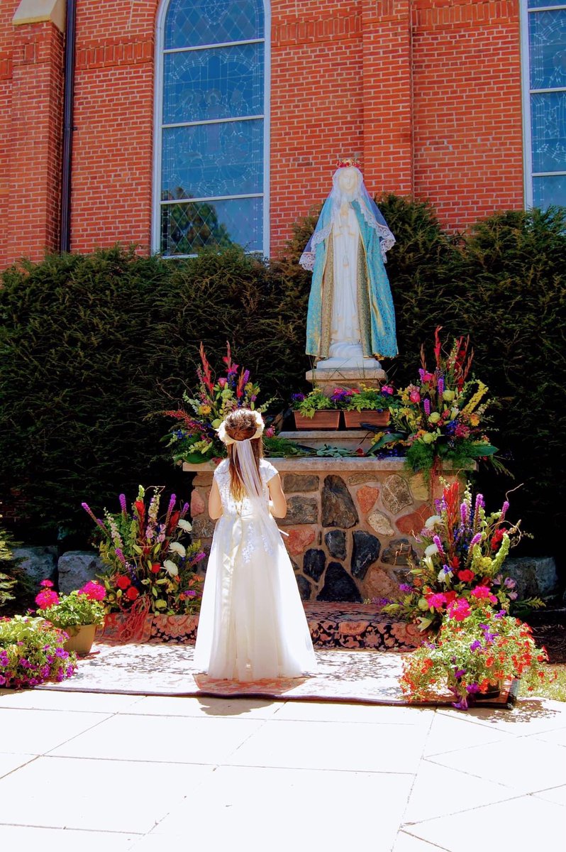 Institute of Christ the King Sovereign Priest tweet media