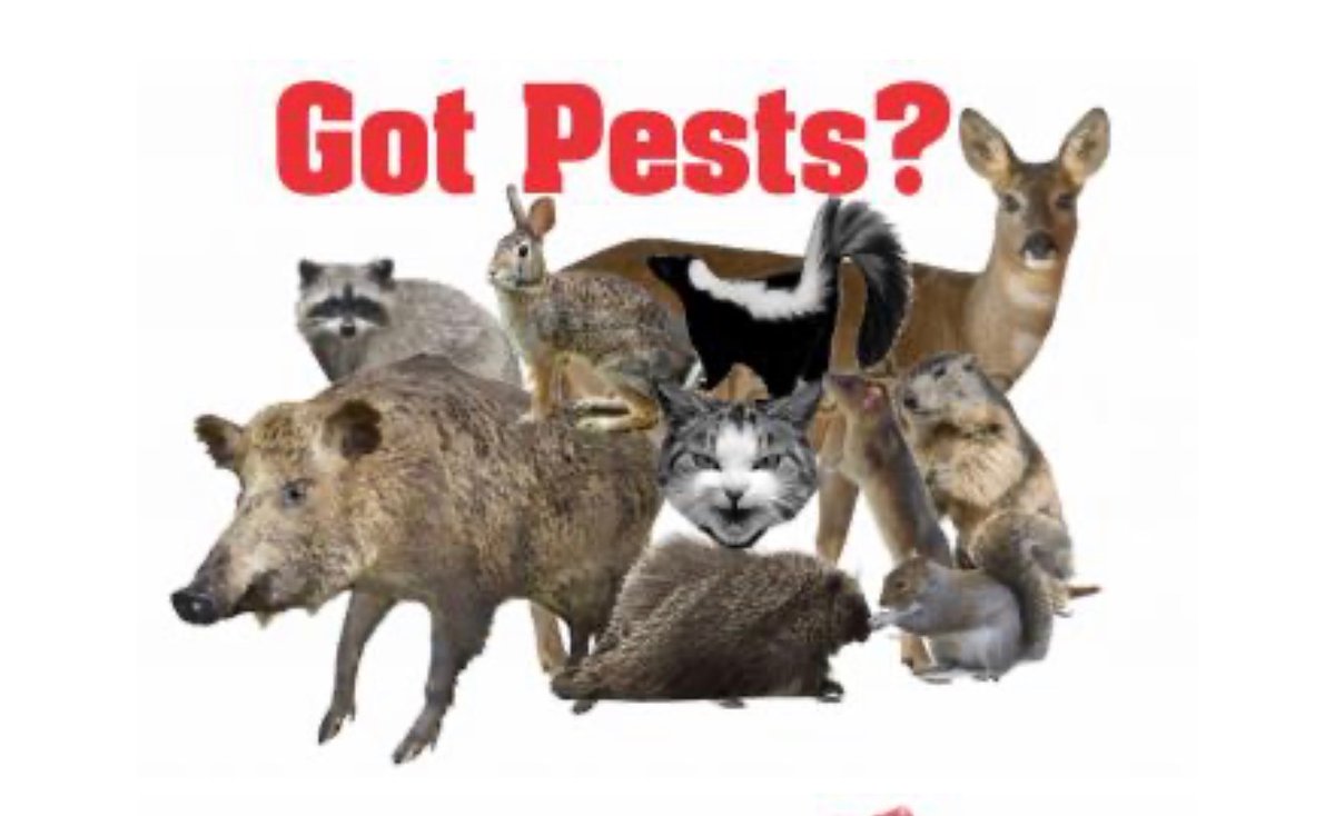 PredatorPee's tweet photo. got pests? use our pest selector on our website to figure out what combats your pest problem best! 
https://t.co/kWv8ePkjZZ https://t.co/YtBnIBOe1w