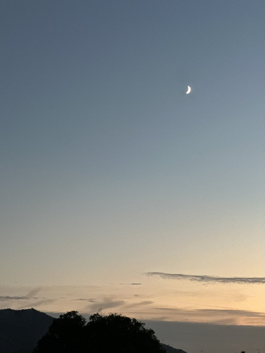 komeko__note's tweet photo. 満月よりも、三日月が好き。
#岡山 #月 #風景 https://t.co/4PUtwRwqWe