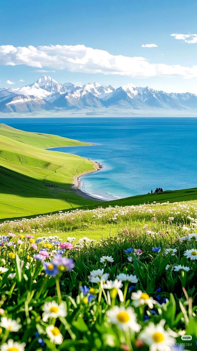 江樾禾 tweet media