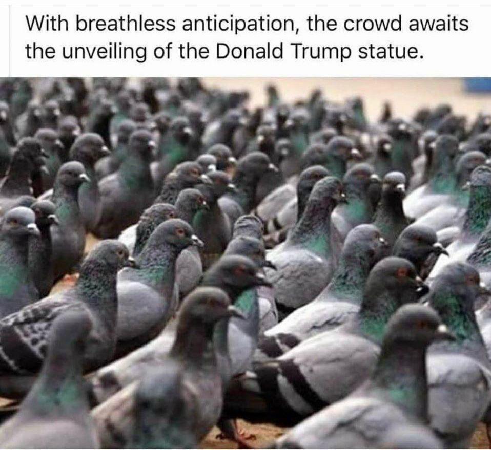 KishoreRao10's tweet image. Via #WhatsApp!