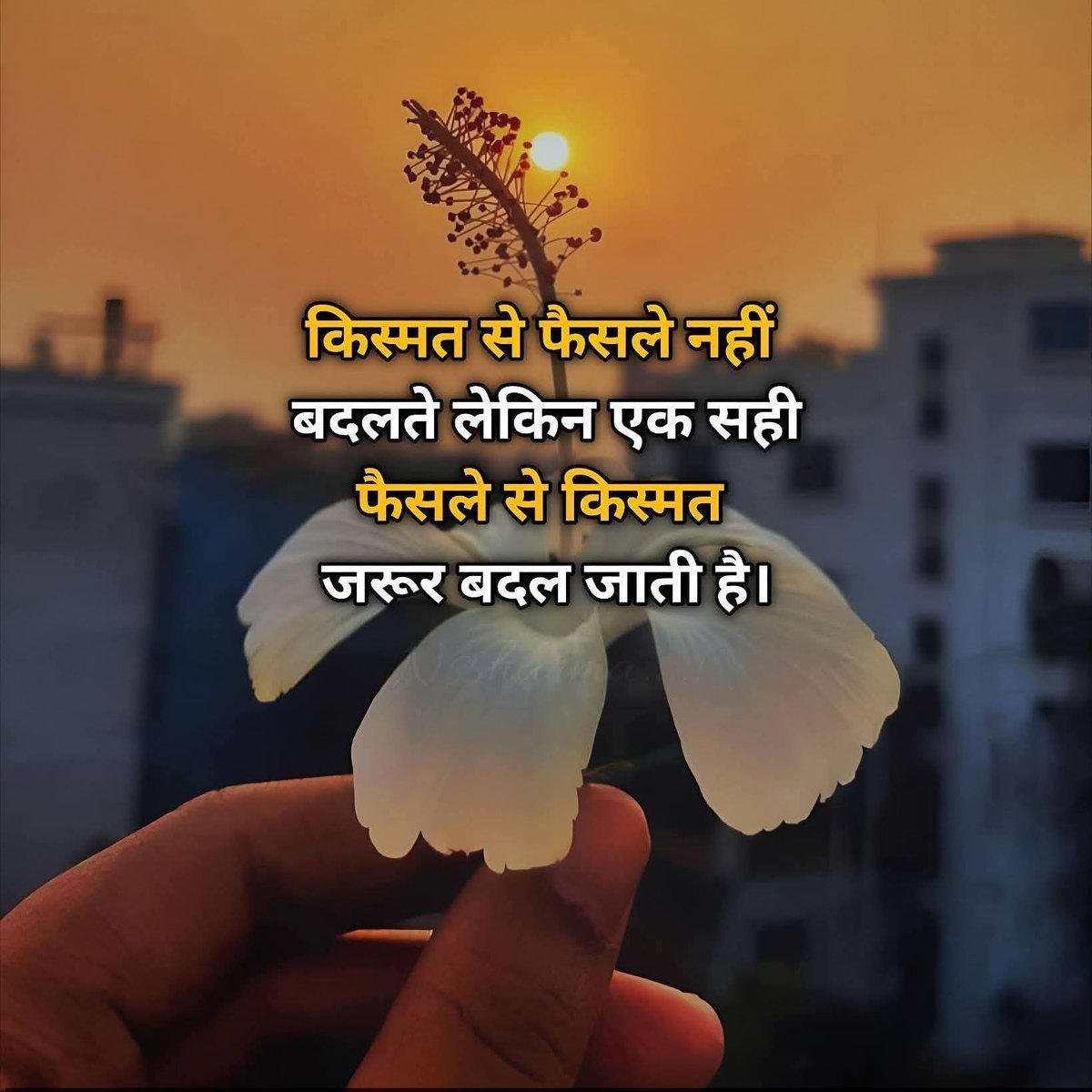 toptrending24x7's tweet image. #TopTrending