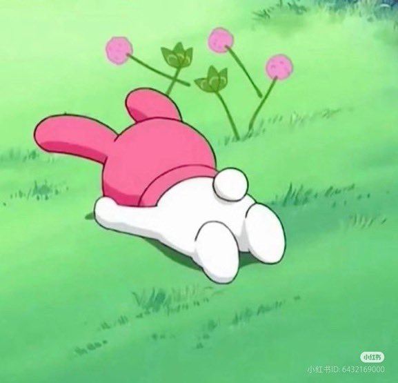 daily sanrio ʚ♡ɞ tweet media