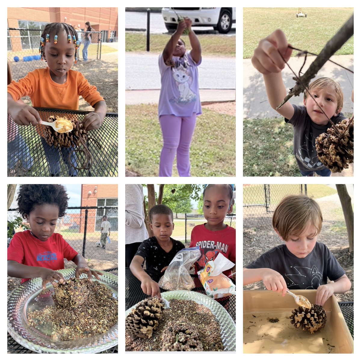 RCAELCPAT's tweet image. “Still celebrating our beautiful planet 🌎 today by making bird feeders—giving a little love back to nature 🐦💚”

#LoveTheEarth #PlanetEarth #EcoFriendly #Sustainability
#NatureLovers #ProtectOurPlanet #GoGreen #pat #dph