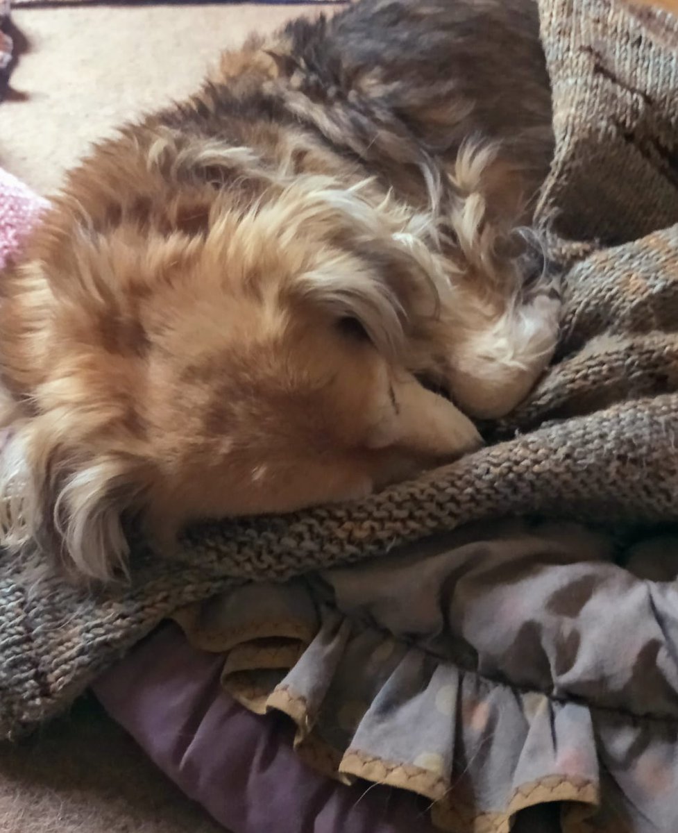 Cordobesa tweet media