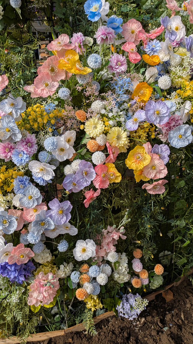 Maiclockwork's tweet photo. 休日は赤レンガのフラワーガーデンに🌷🌷🌷
最終日だったのでお花を配布していて家族分たくさん頂きました〜😊💐
最近ハートの形になるトマトも育ててます🍅収穫できるといーなー🍴
あ今日は流星群かも!?🌠 https://t.co/MTvqZRSUPY