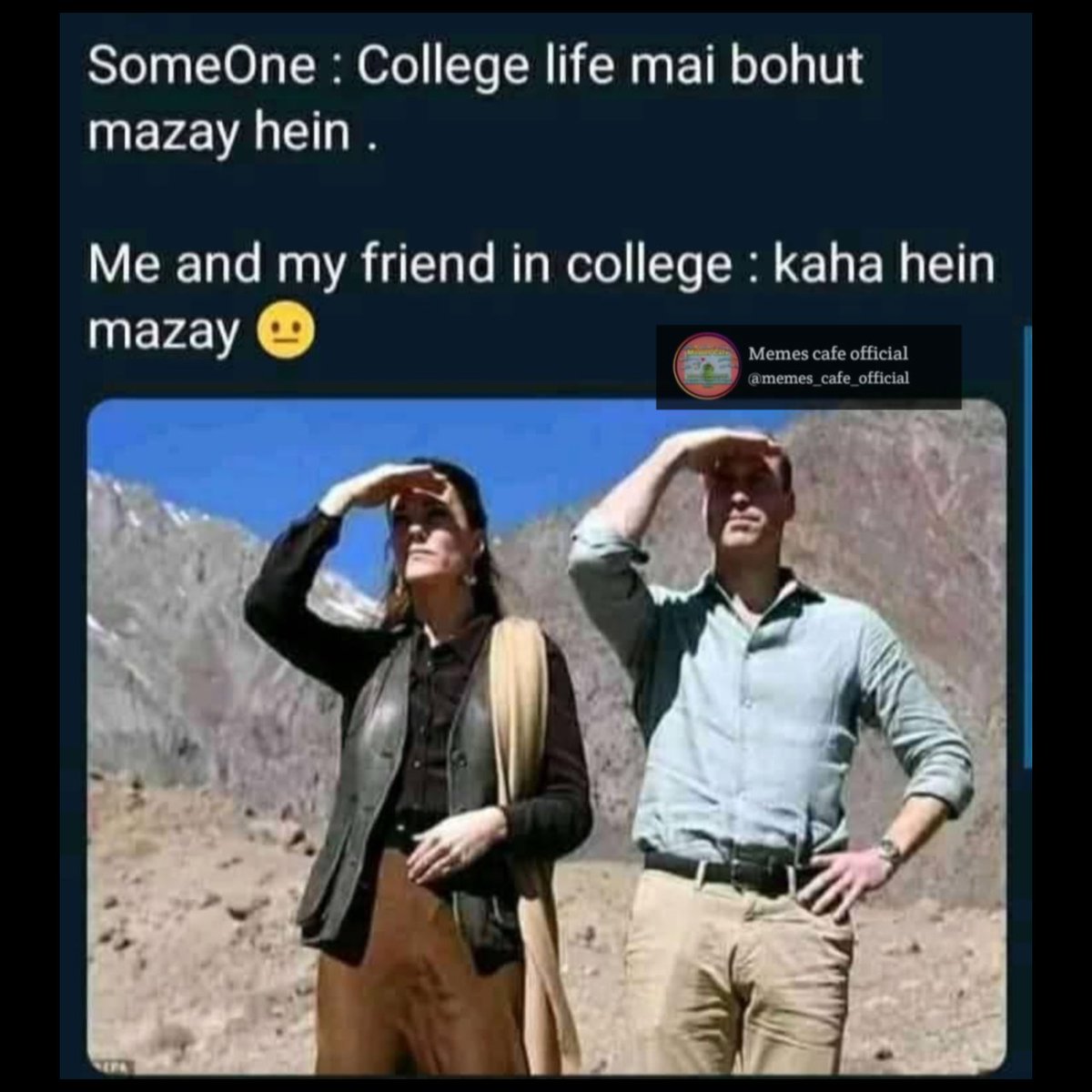 Memes Cafe Official tweet media