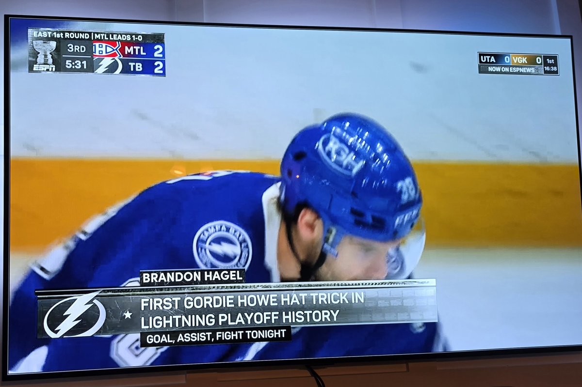 Gordie Howe Hagel